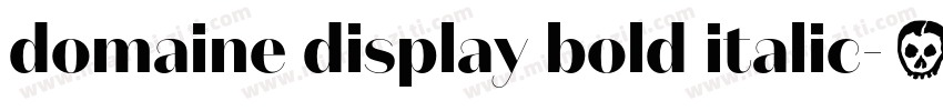 domaine display bold italic字体转换